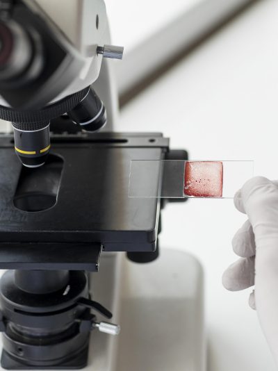 Microbiologia